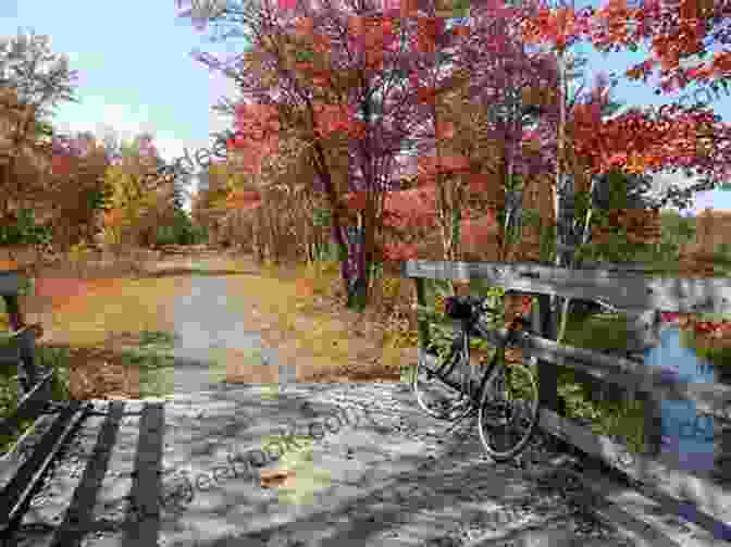 A Captivating Image Of The Northern Rail Trail, Highlighting Its Serene Path Meandering Through Vibrant Autumn Foliage. Best Rail Trials New England: More Than 40 Rail Trails From Maine To Connecticut (Best Rail Trails: Where To Ride)