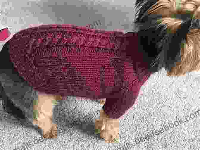 A Chevron Dog Sweater With A Series Of Knit And Purl Stitches, And A Ribbed Hem And Cuffs Dogs In Jumpers: 15 Practical Knitting Projects
