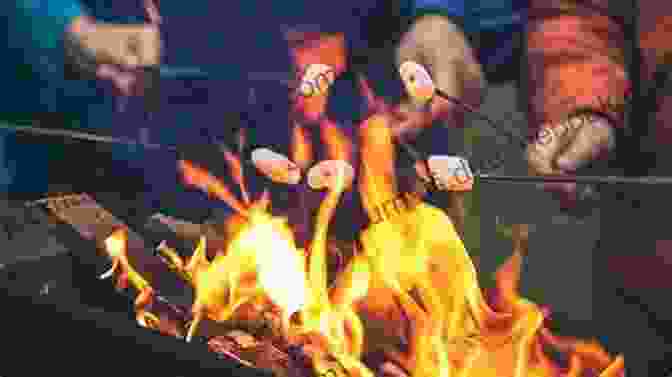 A Person Roasting A Marshmallow Over A Campfire At Campfire Mallory Owens Campfire Mallory M A Owens