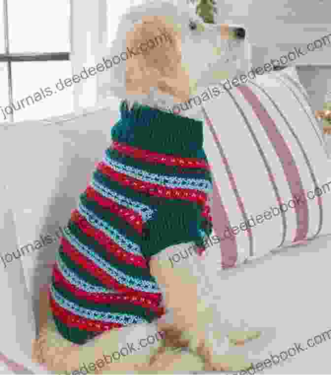 An Argyle Dog Sweater With A Knit And Purl Stitch Pattern, And A Ribbed Hem And Cuffs Dogs In Jumpers: 15 Practical Knitting Projects