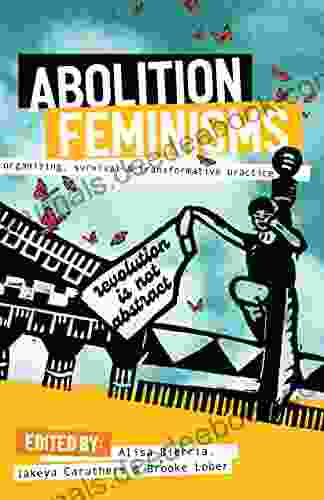 Abolition Feminisms Vol 1: Organizing Survival And Transformative Practice