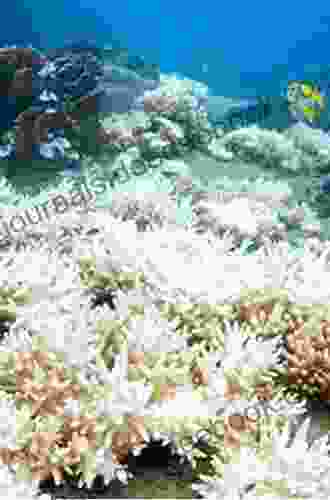 Coral Reef Studies Of Japan (Coral Reefs Of The World 13)