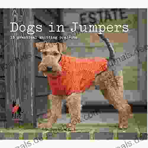 Dogs In Jumpers: 15 Practical Knitting Projects