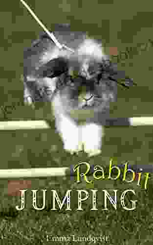 Rabbit Jumping: How To Teach Your Rabbit To Jump