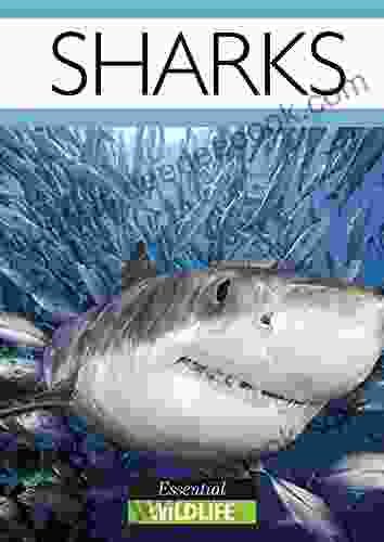 Sharks: Essential Wildlife Suki Williams