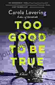Too Good To Be True: A Novel