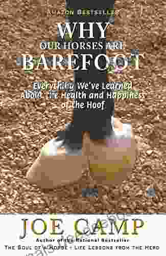 WHY OUR HORSES ARE BAREFOOT Everything We Ve Learned About The Health And Happiness Of The Hoof (eBook Nuggets From The Soul Of A Horse 3)